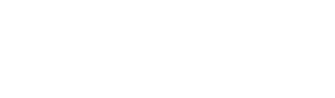 MHP